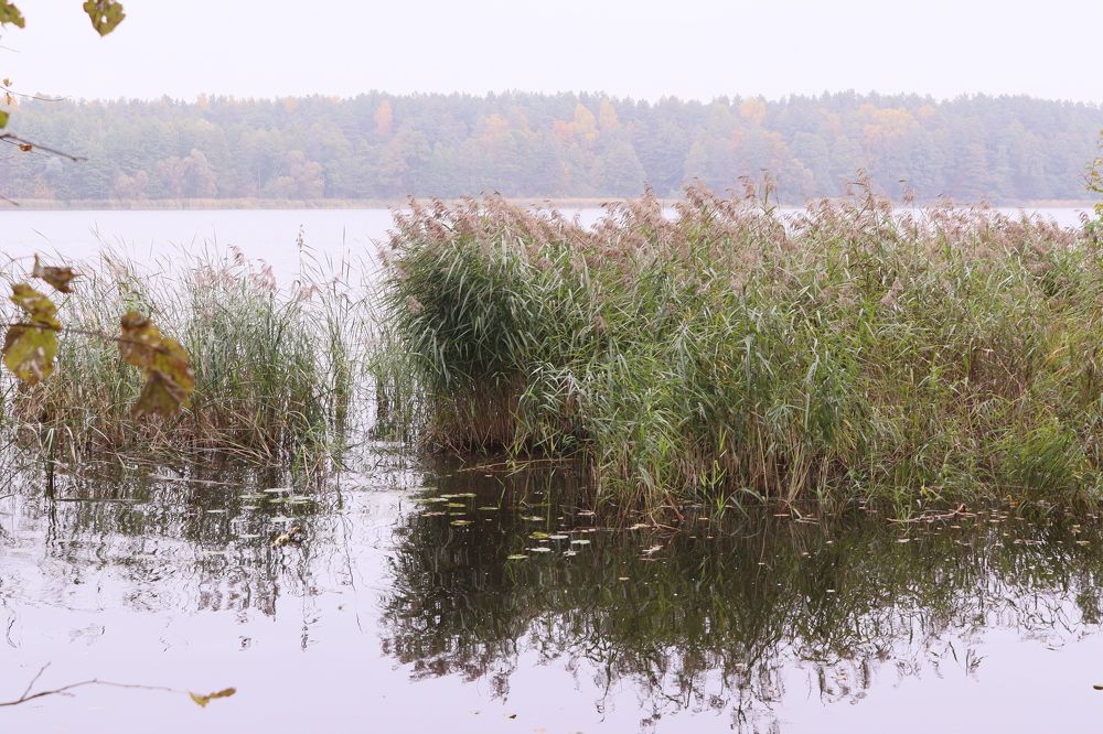 Photograph by Елена Квасова