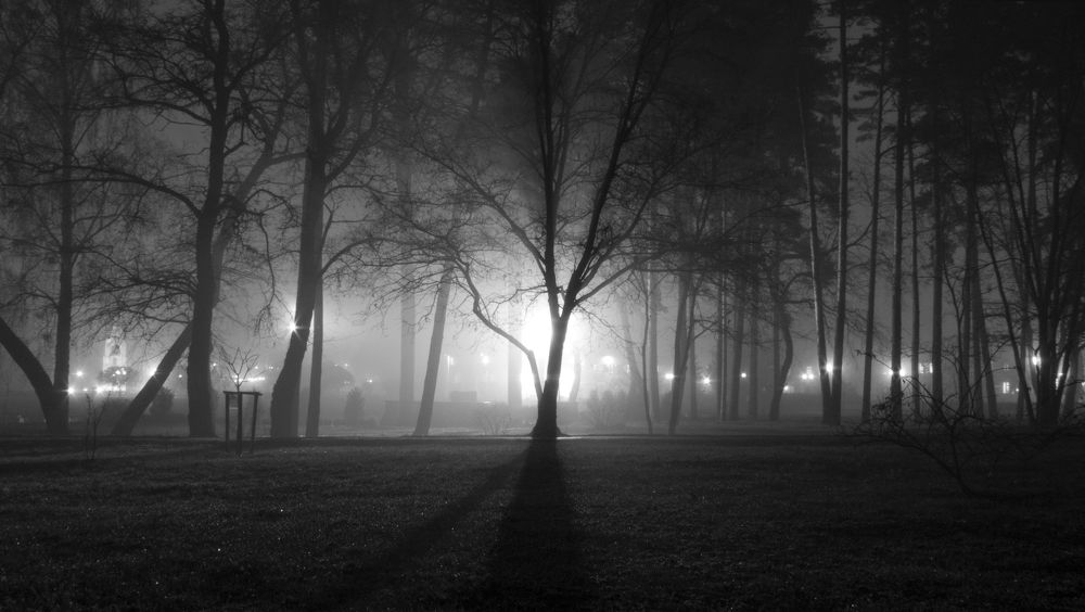 Фотография автора Виталий Медведь