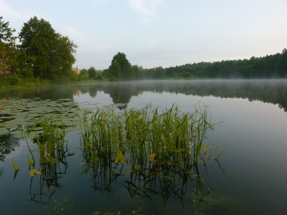 Photograph by Александр Кизим