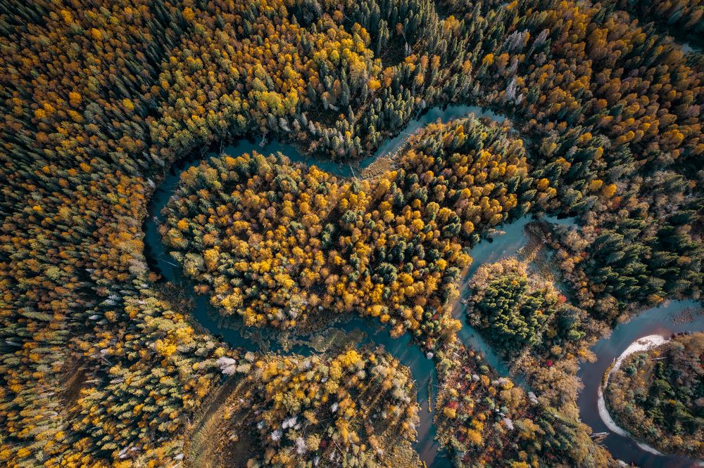 Photograph by Денис Гончаренко