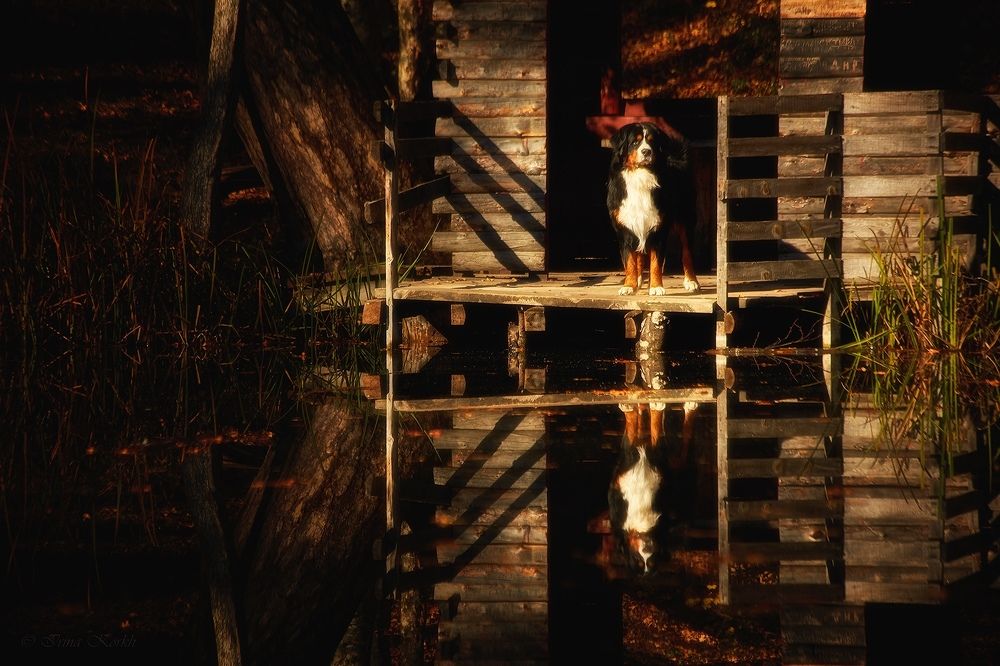 Однажды на озере