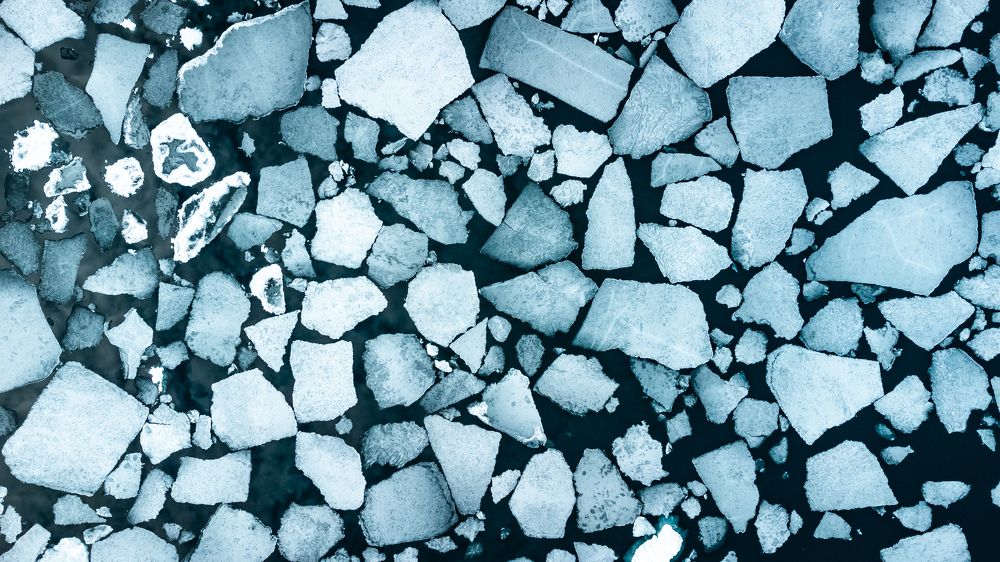 Photograph by Olga Baklunova