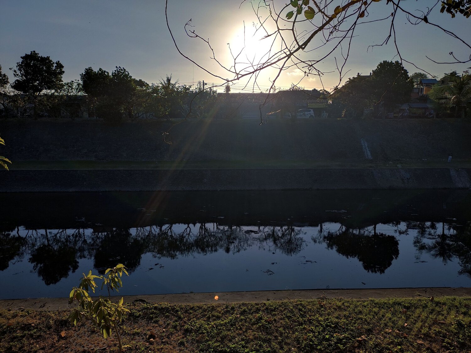 Photo #6850529