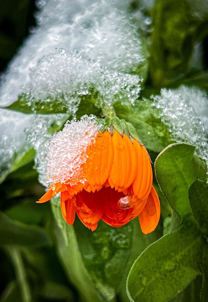 Photograph by Нагичева Марина