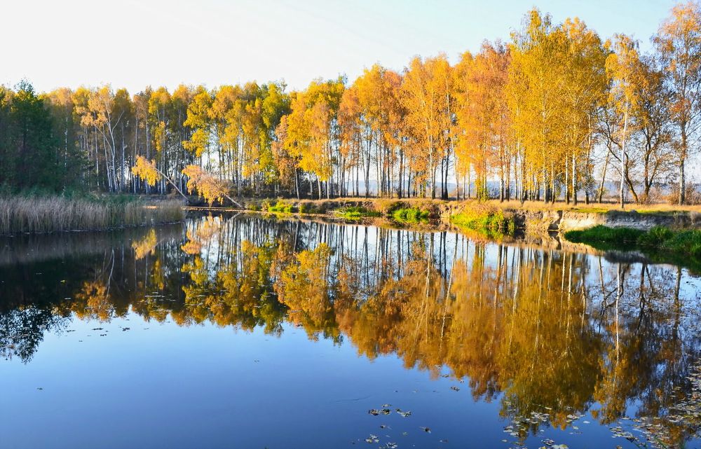 Photograph by Владимир Тертышник