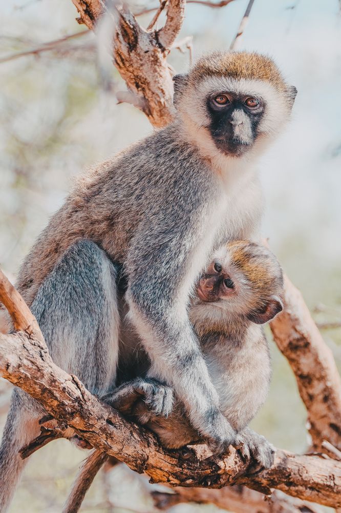 Photograph by Егор Голубкин