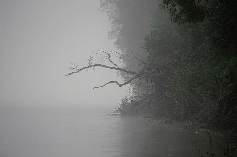 Photograph by 