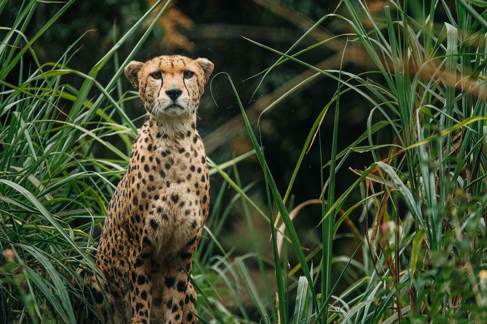 Photograph by Егор Голубкин