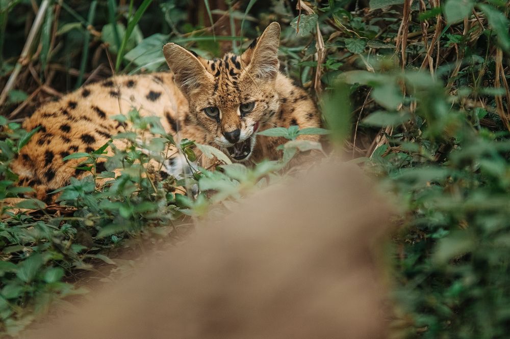 Photograph by Егор Голубкин