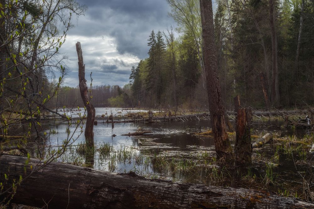 Фотография автора Сергей Сергеев