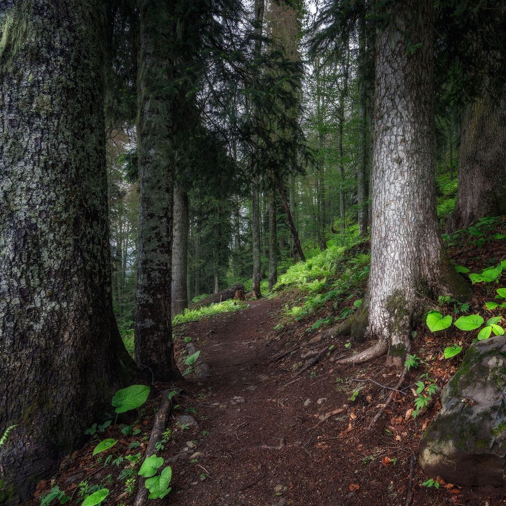 Фотография автора Сергей Сергеев