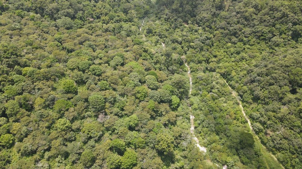 Photograph by Félix Coutiño