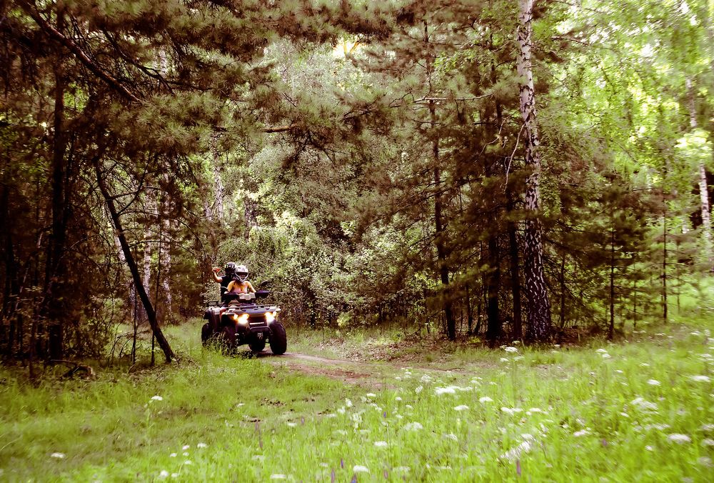 Из-за леса из-за гор едет пламенный мотор