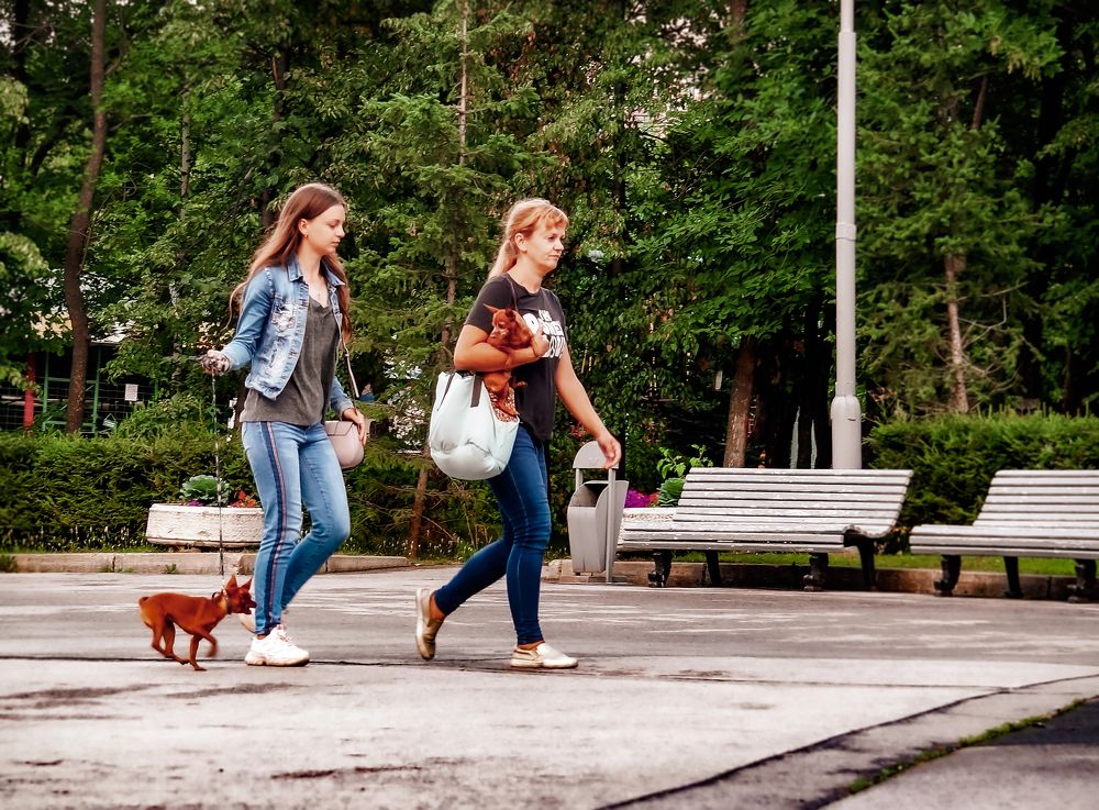 Чапа ,не отставай!