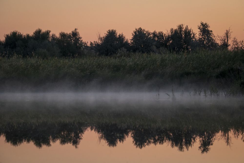 Фотография автора Наталья Яковлева
