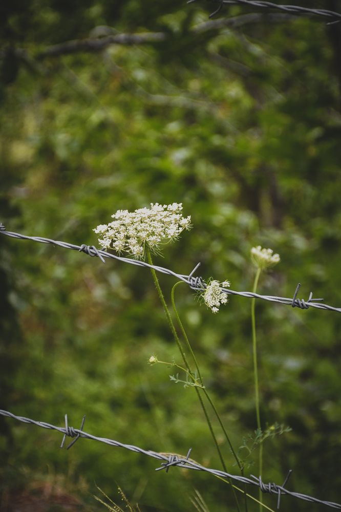 Photograph by Masoomeh Salek