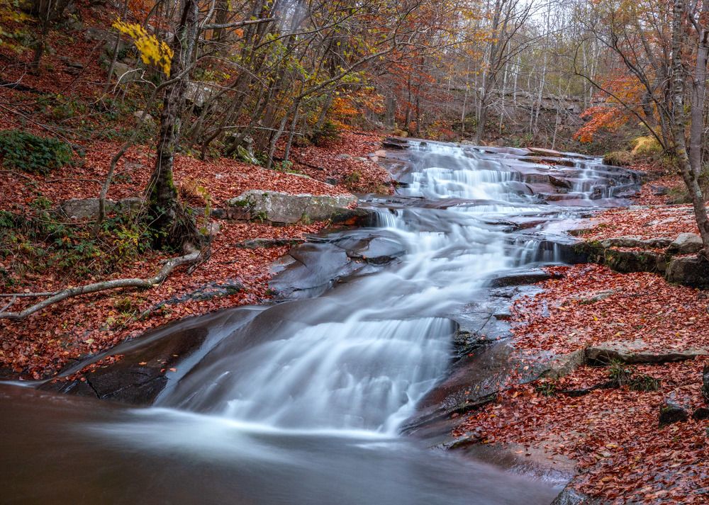 Photograph by Elena Vill