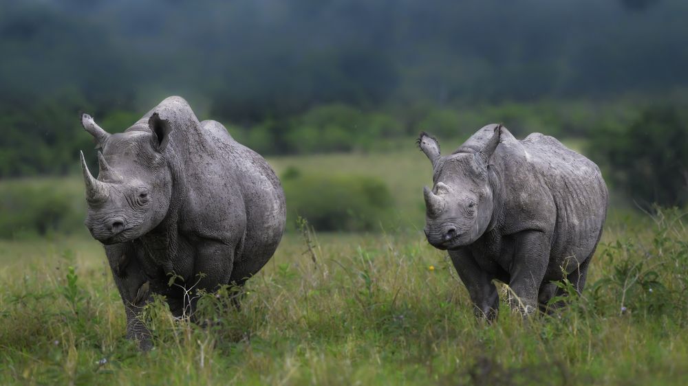 Photograph by Vignesh Ramachandran