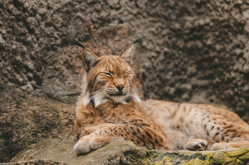 Photograph by Яна Котлярова