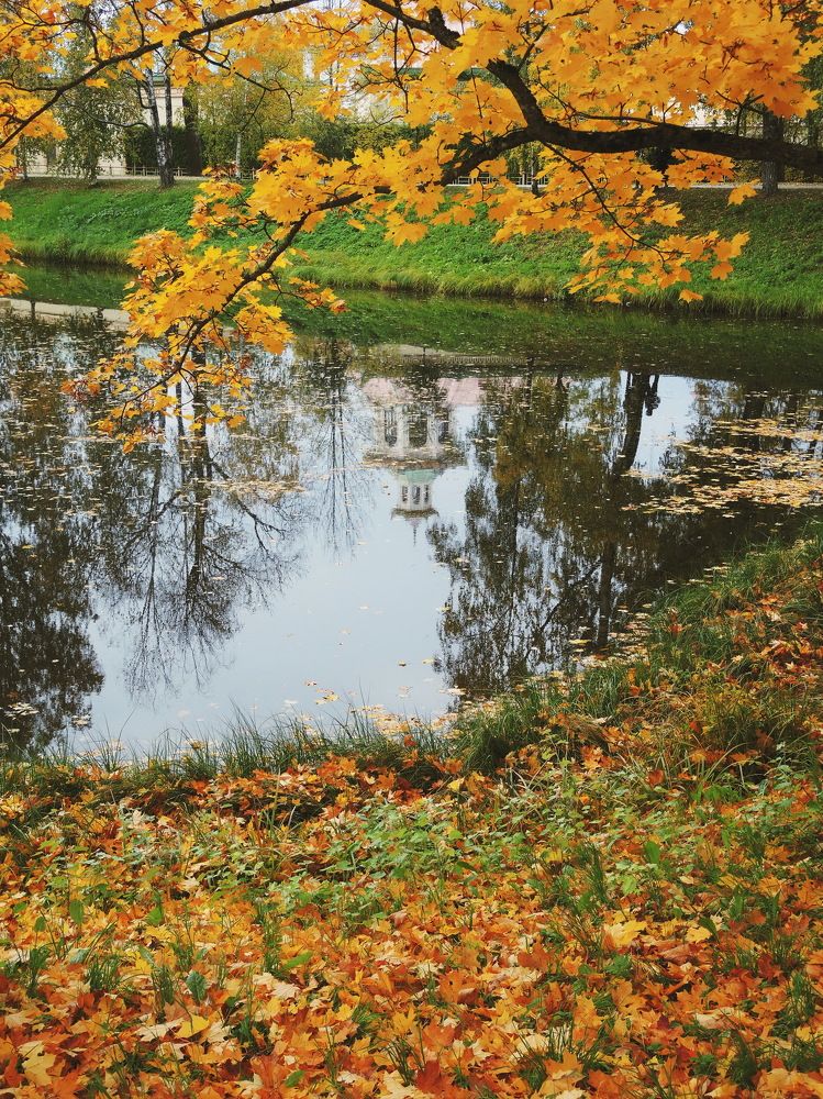 Осенние этюды Царского села