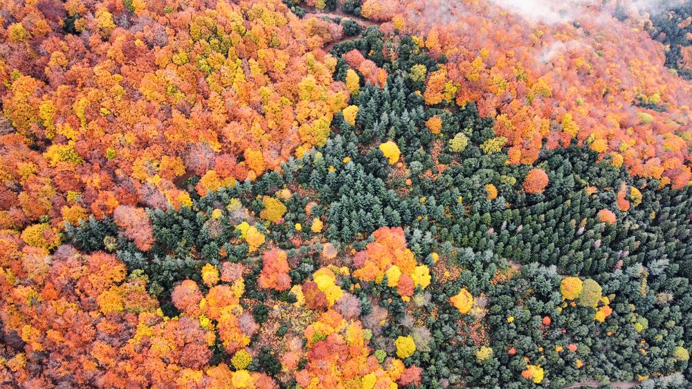 Photograph by Elena Vill