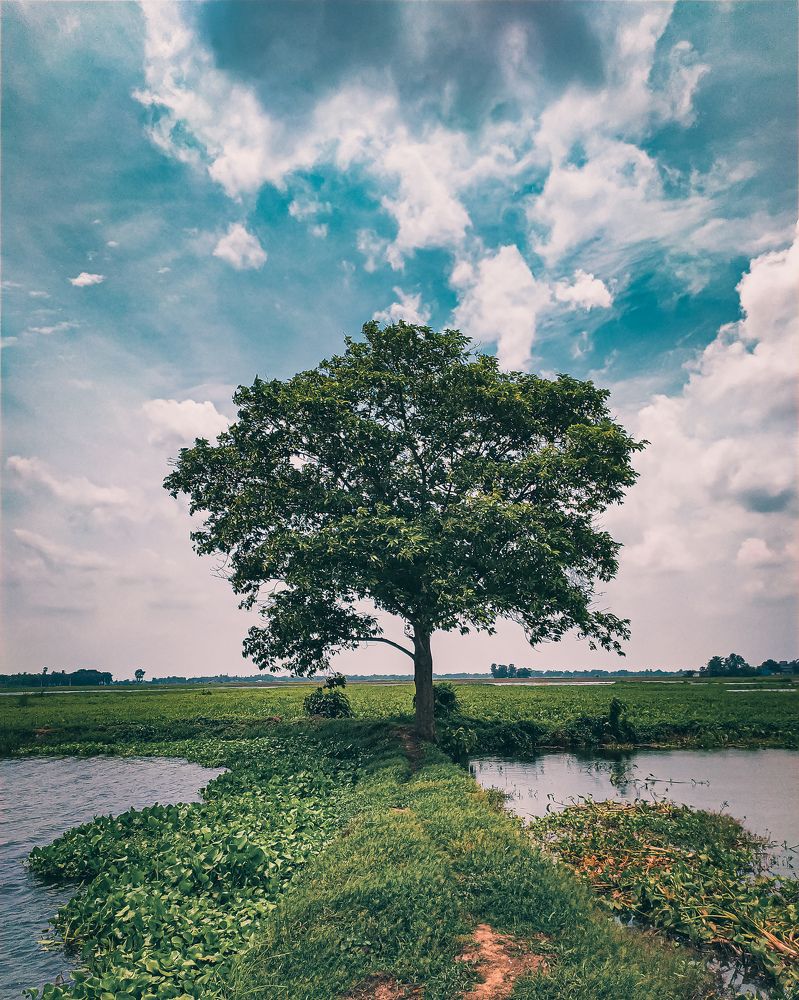 Фотография автора Nasif Ali Mondal