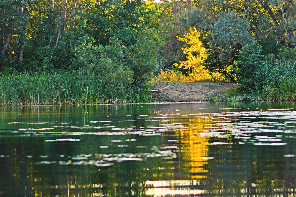 Photograph by Родосская Нонна