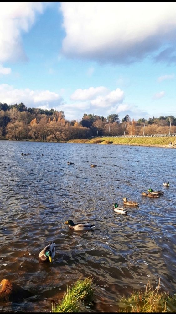 Photograph by Глушакова Татьяна Николаевна