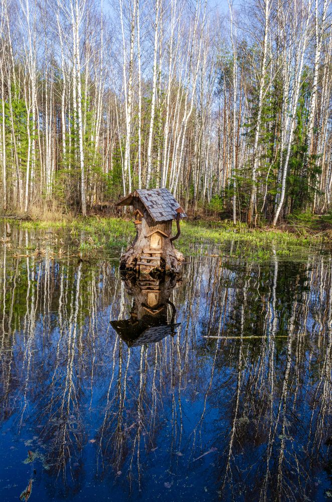 Photograph by Денис Кичев