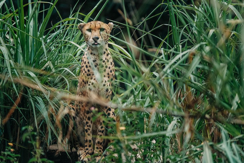 Photograph by Egor Golubkin