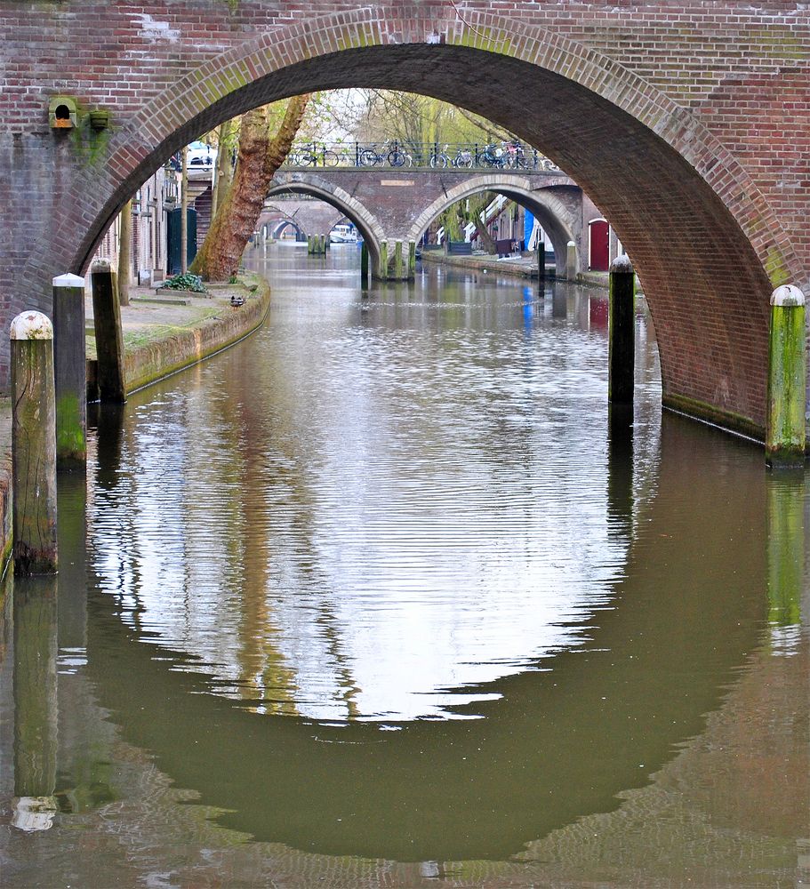 Photograph by Алексей