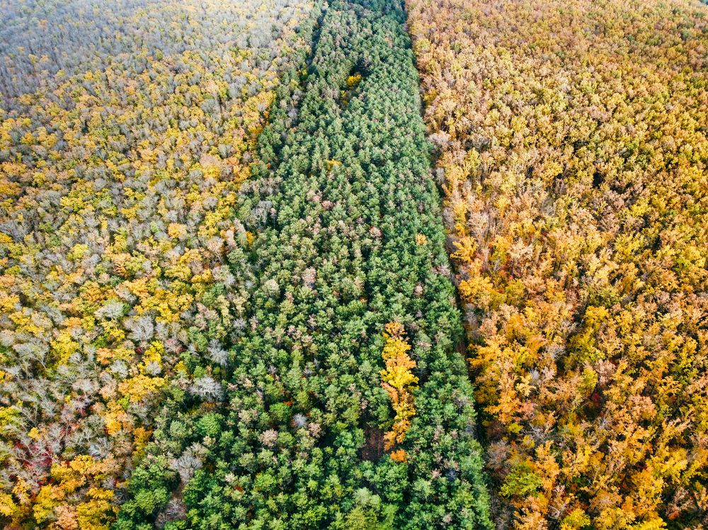 Photograph by Алексей Гуминский