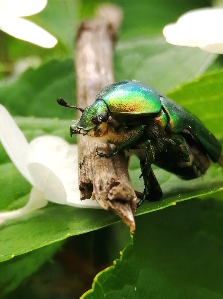 Photograph by Светлана Веселовская