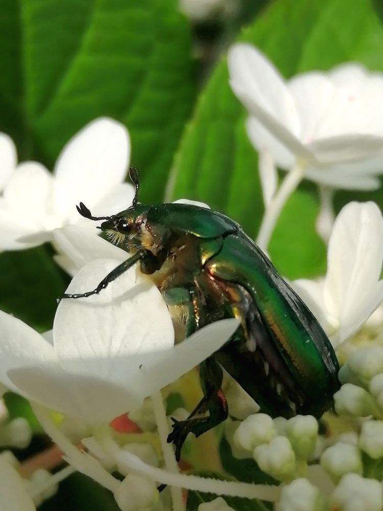 Photograph by Светлана Веселовская
