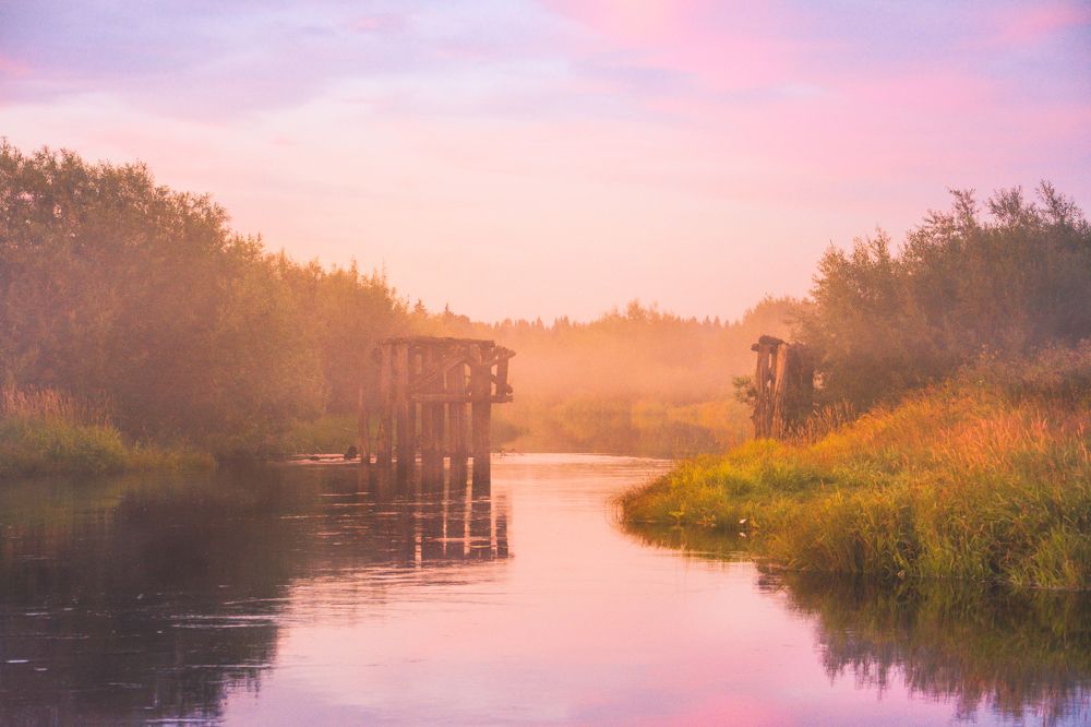 Photograph by Светлана Перминова