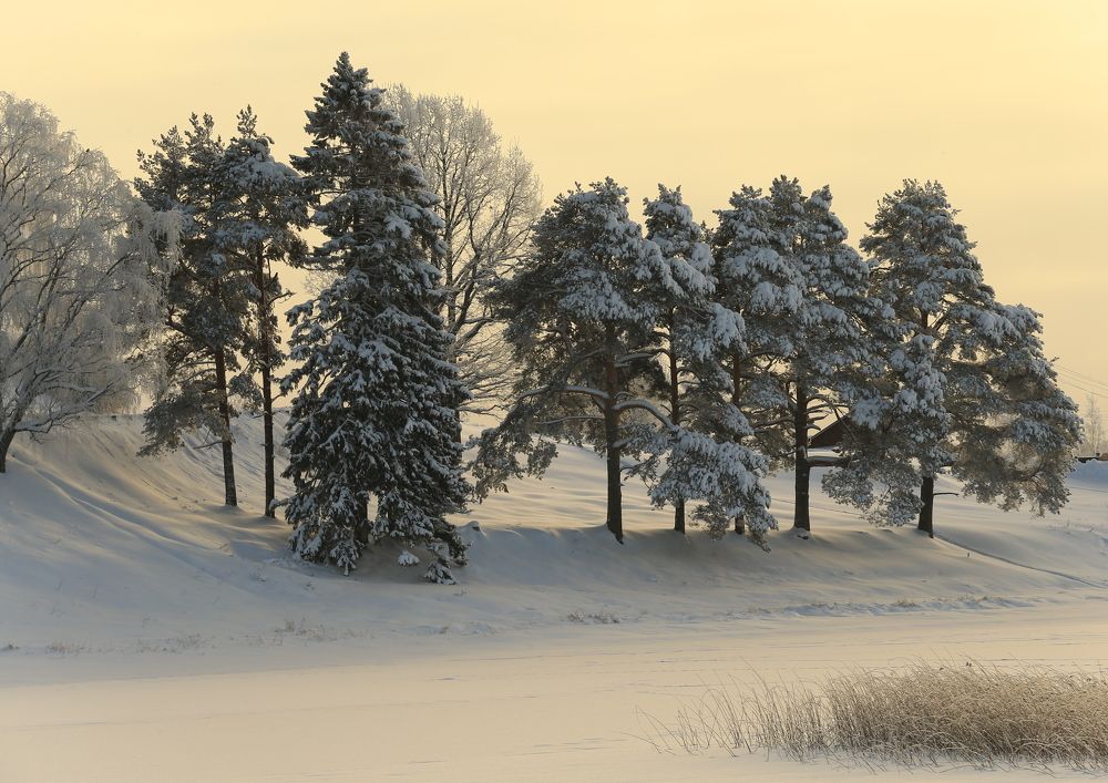 Фотография автора Юрий Кетель