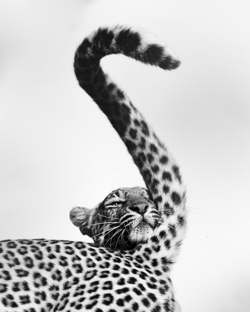 Photograph by Amir Khatri