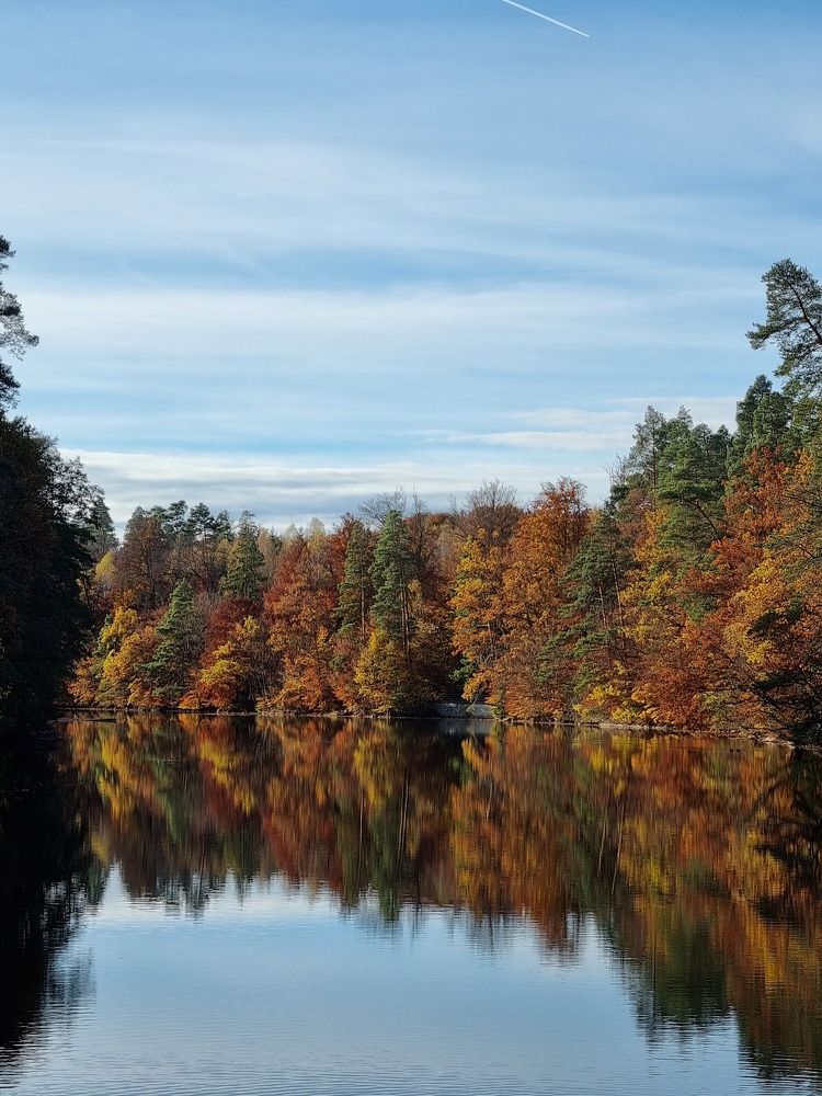 Photograph by Людмила Комарова