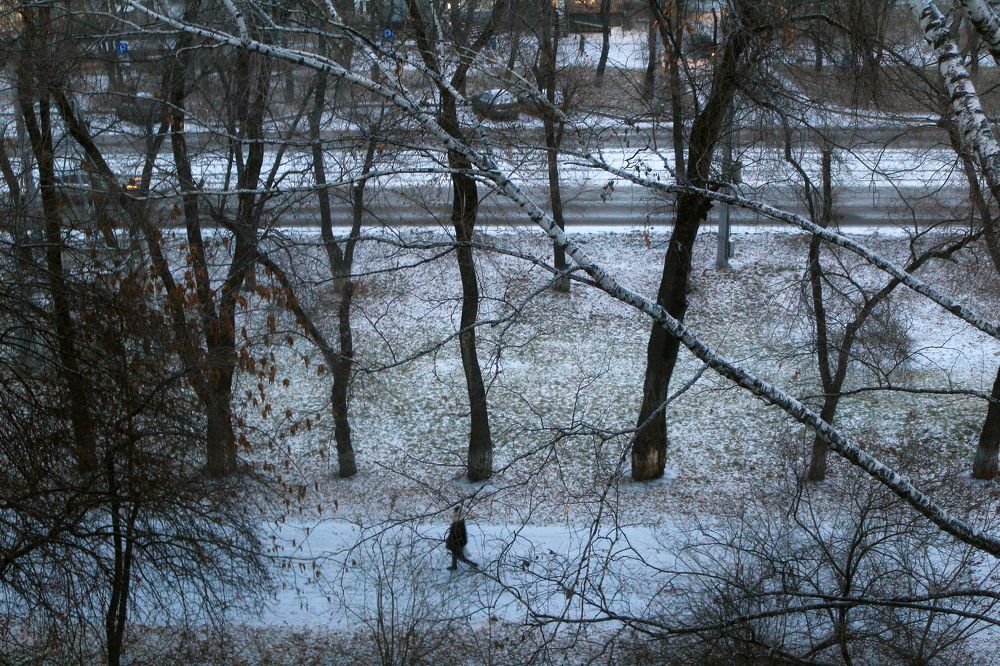 Утро .Первый снег