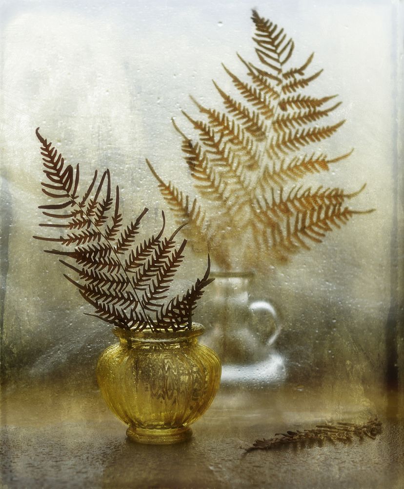 Photograph by Наталия К