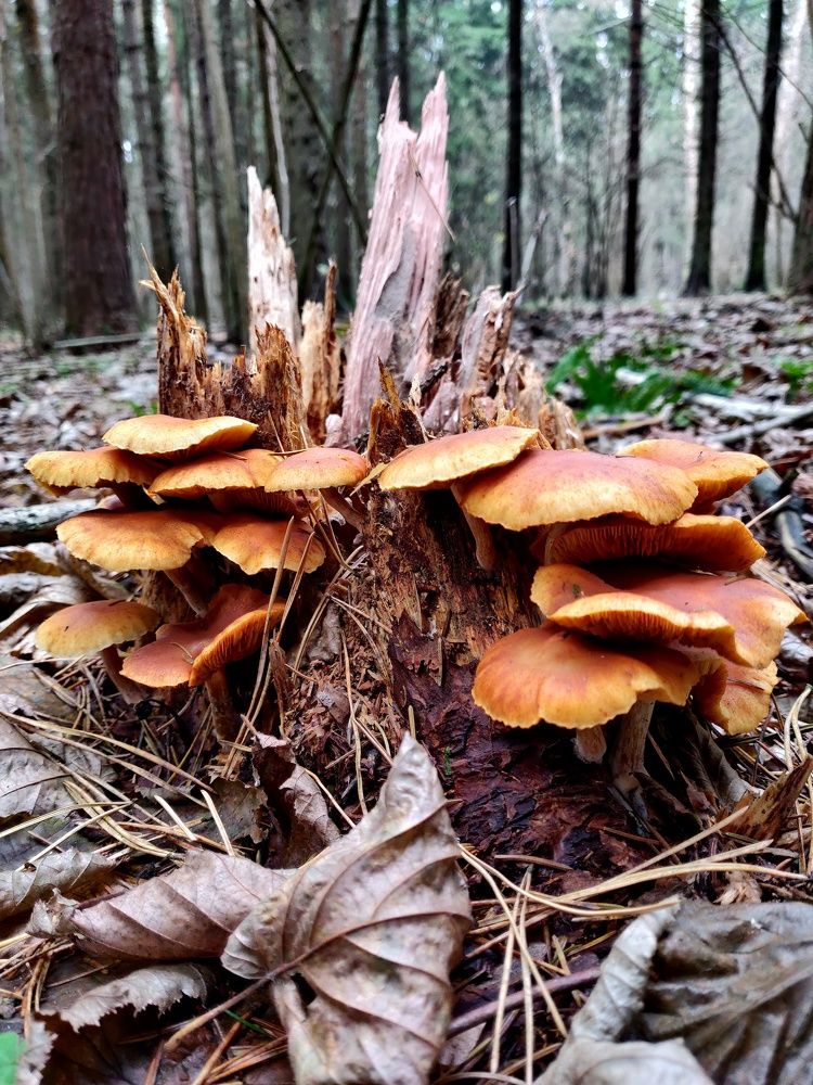 Photograph by Наталья