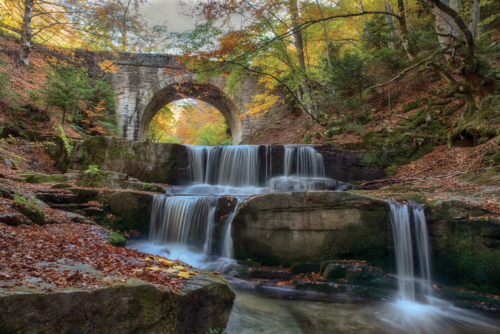 Photograph by Emilia Tsoncheva