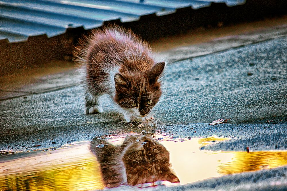 Photograph by Vitaliy Saposhnikov