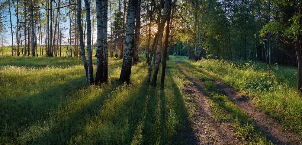 Фотография автора Александр
