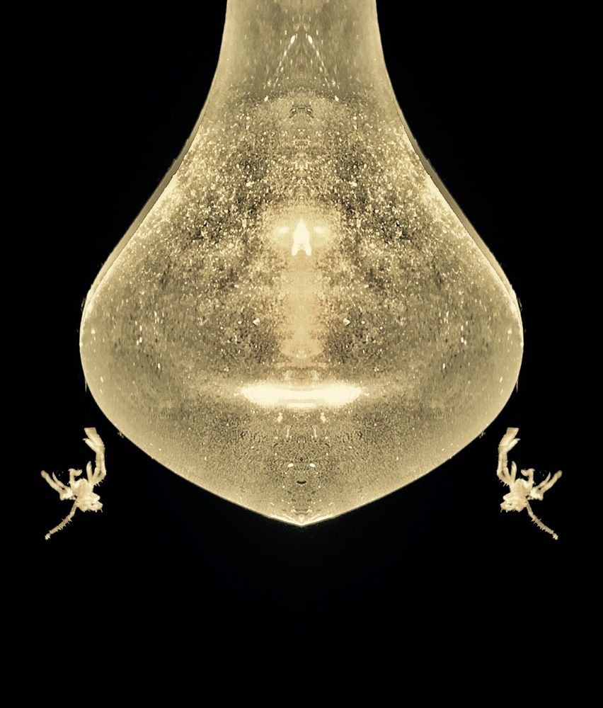 Photograph by Елена Ким