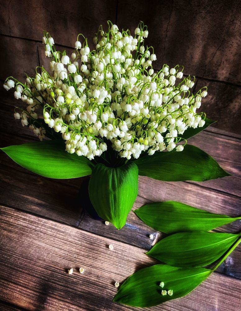 Photograph by Марина Нагичева