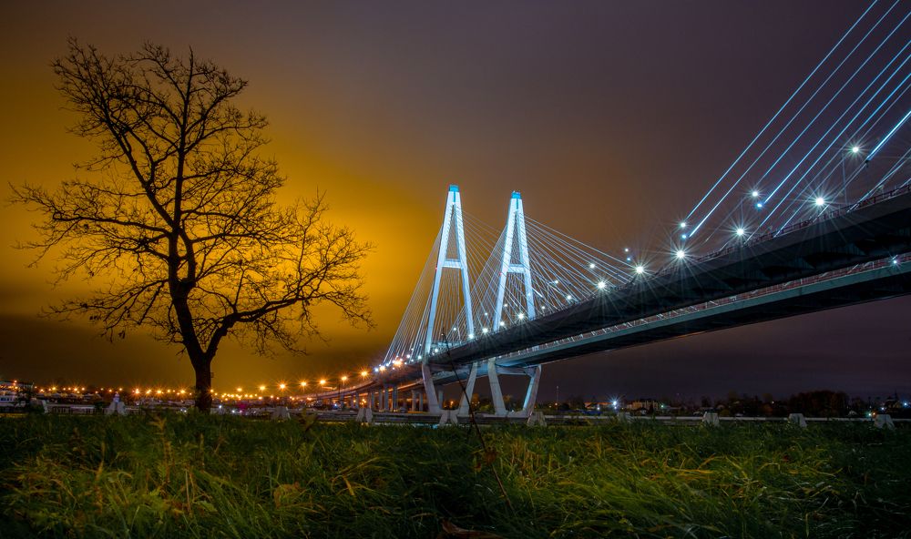 Photograph by Николаева Светлана