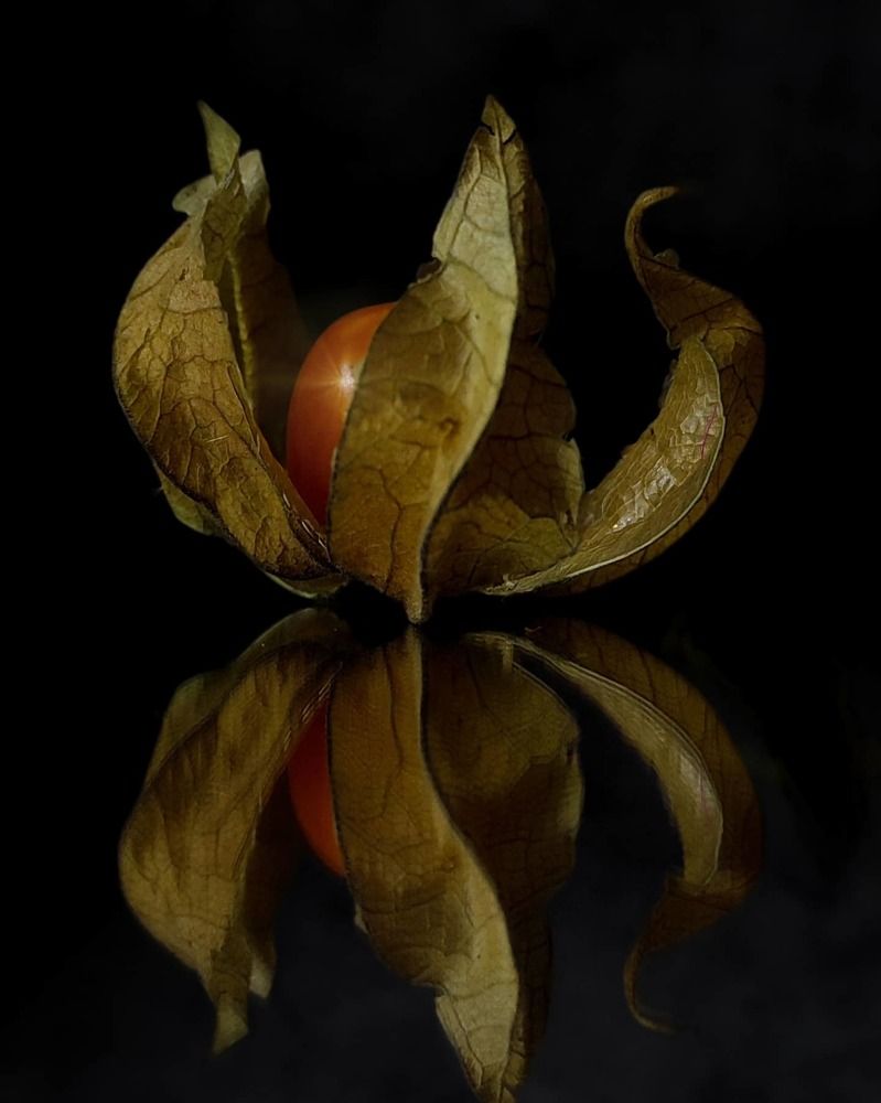 Photograph by Helen Ka