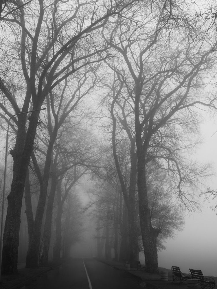 Photograph by Ольга Еженевская