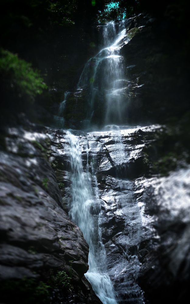 Photograph by Brightman Mitra